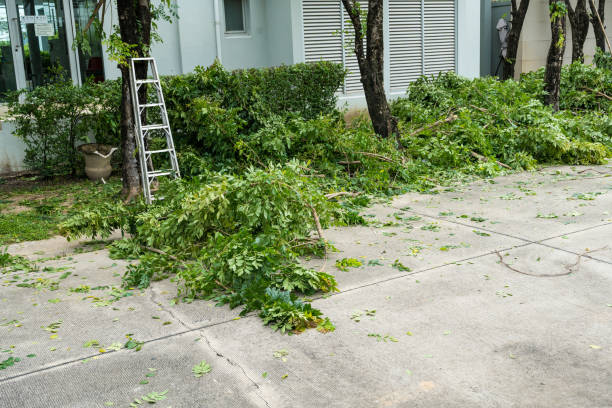 Best Commercial Tree Services  in Hawaiian Gardens, CA